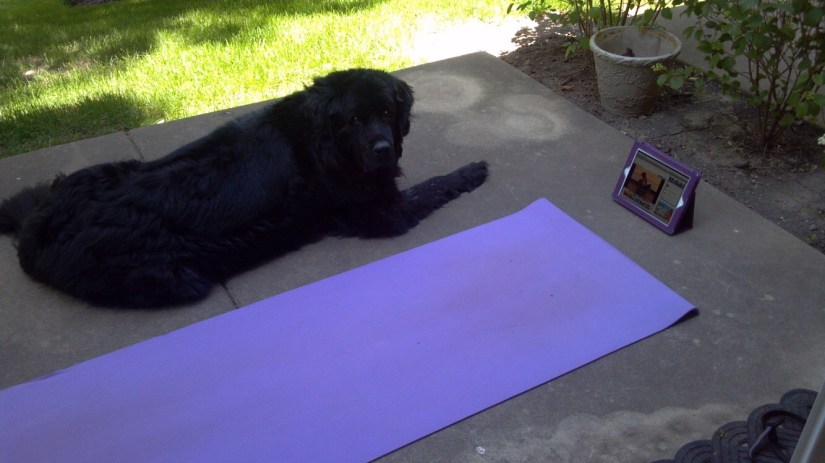 2012-05-18_11-23-54_734