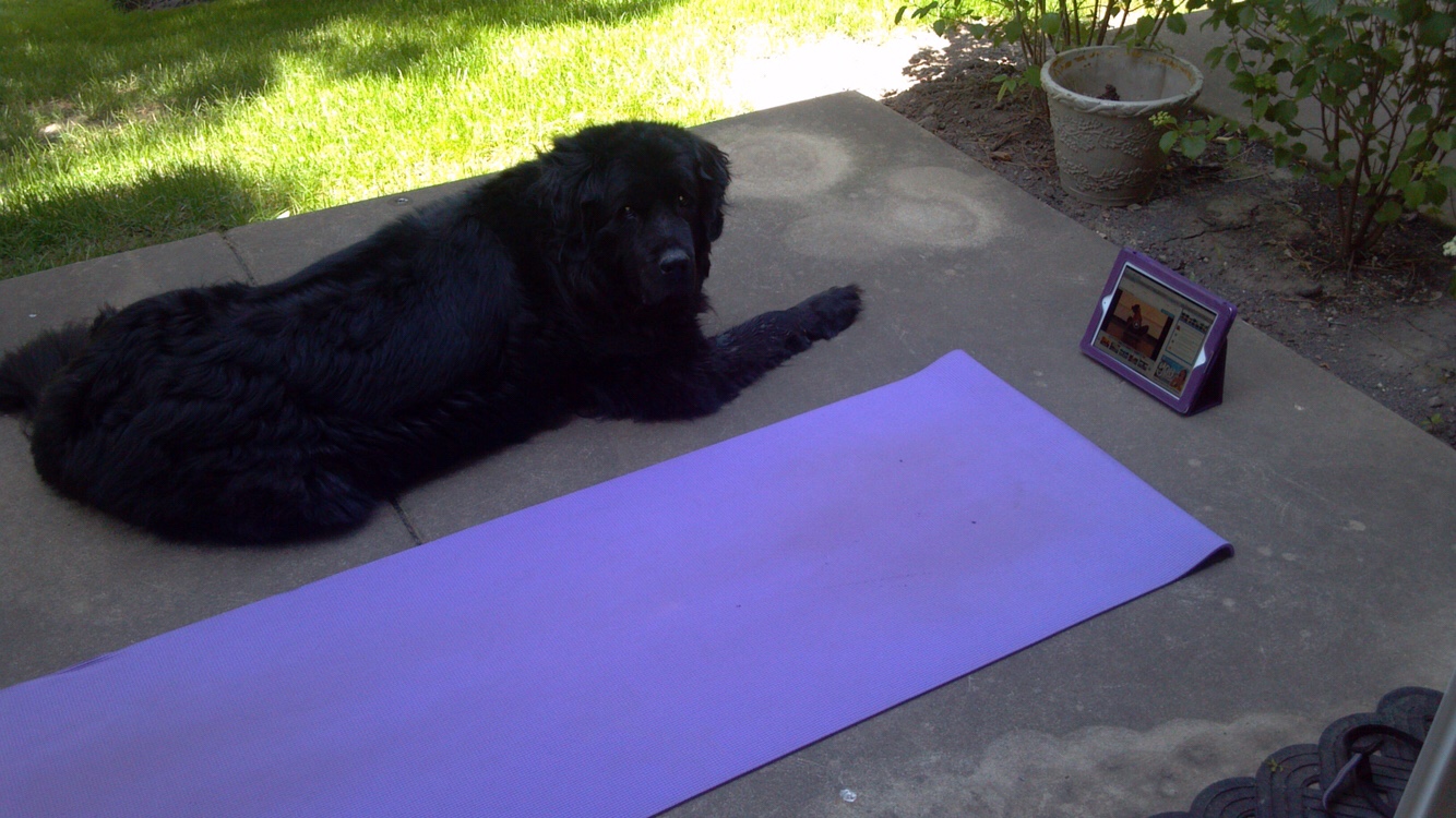 2012-05-18_11-23-54_734