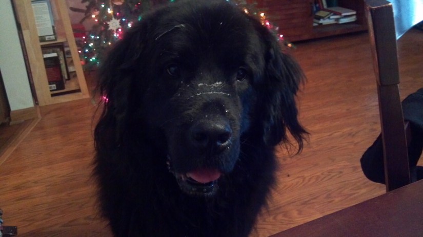 2012-12-23_09-41-50_283